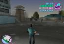 Grand Theft Auto: Vice City (PC) petukoodid
